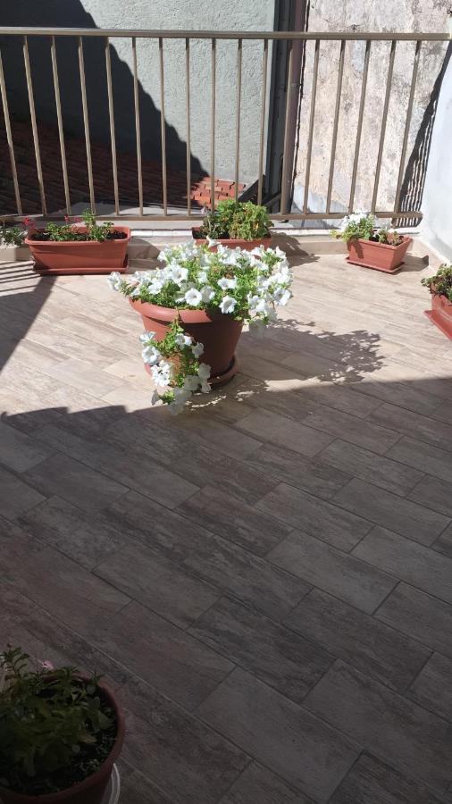 Guest House Le Gemelle Luras Экстерьер фото